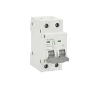 2P Solare DC 12V 24V 550V PV MCB Batteria Auto Protettore Mini Interruttore di Circuito Corto Sovraccarico Protettore di Circuito 20A 25A 32A 63A(2P 800V,10A)