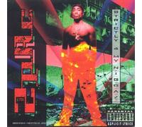 2pac - Strictly 4 My Nigazz