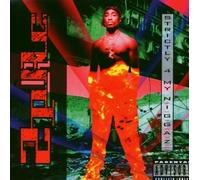 2pac - Strictly 4 N.I.G.G.a.Z.