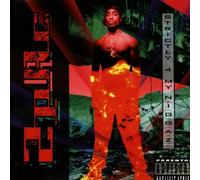 2pac - Strictly for My N.I.G.G.a.Z