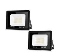 【2pack】faretto led da esterno,Blivrig 30W faretti led esterno,3000LM Fari di sicurezza Bianco Freddo 6000K,Lampada Luce Potente,faro led Impermeabile IP66,per Giardino,garage,patio,strade