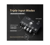 2pack TW100U Scheda Amplificatore Mono da 100W, Modulo Amplificatore Digitale TPA3116D2, Supporto TWS-Wireless, Ingresso AUX/ 5.3