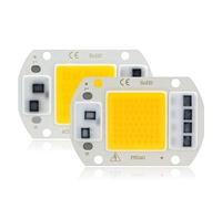 2Pcs 110V 220V Chip LED 10W 20W 30W 50W Chip COB Nessun Driver Necessario Perline Lampada LED Per Faretto Luce Di Inondazione Illuminazione Fai Da Te,30W,110V
