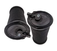 2PCS Aria Sospensioni Molla Borsa Posteriore for Land Rover Range Rover P38a V8
