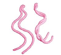 2pcs Dolce Colore Ponytail Cortili Peluche Elastici Corda Per Capelli Morbido Fascia Per Capelli Primavera Accessori Per Le Ragazze