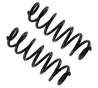 2pcs Molle Sospensione Posteriori for Vw Passat Tiguan RA6165 3C0511115AD