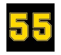 2PCS Number 55 Car Sticker Vinyl Decal for Truck Bumper Rear Window | Bold Number 55 vinyl decals for cars, trucks, RVs and smooth surfaces(30068 Yellow,44x30 cm)