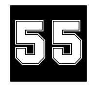 2PCS Number 55 Car Sticker Vinyl Decal for Truck Bumper Rear Window | Bold Number 55 vinyl decals for cars, trucks, RVs and smooth surfaces(30068 White,25x17 cm)