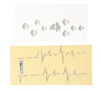 2pcs Ukulele Cuitar Sticker Strument Strument Decal Creative Guitar Bord Decal