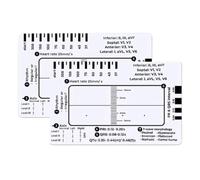 2pz ECG Righello 7 Passi Analisi E Misurazione Rapida Del Cuore