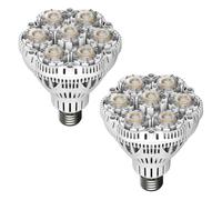 2PZ Lampadina LED 40W Equiv. 300W 5500lm 5000K Luce Diurna Energia efficiente [EEK: D]