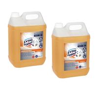 2pz LYSOFORM PROFESSIONAL Disinfettante battericida detergente ORIGINAL 5l