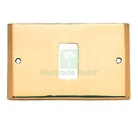 2PZ PLACCA COPRIFRUTTI COTTALI OTTONE POSTI 1 MM 125X74 MAGIC VENUS: