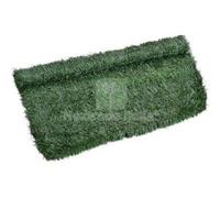 2PZ SIEPE SEMPREVERDE ABETE PE VERDE H.CM 150 L.MT 3: