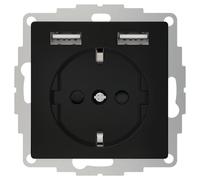 2USB inChargePRO USB AA Presa energia 12W 2.4A Nero