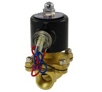 2W-160-15 AC 110V Elettrovalvola gas olio acqua ad azione diretta