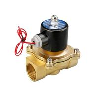 2W160-15 2W200-20 Elettrovalvola normalmente chiusa Valvola acqua Valvola aria Bobina in rame puro AC220V DC24V 12V(2W200-20,DC24V)