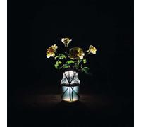 2X 12" LP Vinyl Billy Strings Renewal 180G Prima Stampa - UM088