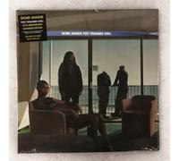 2X 12" LP Vinyl Skunk Anansie Post Orgasmic Chill 25Th Anniversary Espanso -X35