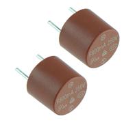 2X 2.5A Fusibile Circolare A Ritardo Temporale Lento Radiale PCB