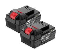 2X 20V 5Ah Batteria di Ricambio per Parkside PAP 20 B1 B3 A1 Compatibile con
