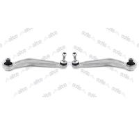 2X ALTE AUTOMOTIVE Braccio Oscillante Posteriore Per BMW 5 Serie E39 E60 E61