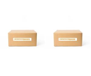 2x Alzacristalli DENCKERMANN S+D per BMW X1 E84