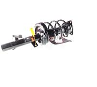 Coppia Ammortizzatori Completa MacPherson Anteriori per Focus C-Max 1.6/1.8TDCi