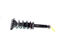 Coppia Ammortizzatori Completa MacPherson Posteriori per Nissan Primera P12 02-