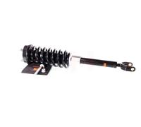 2x Ammortizzatore AGHGH-333353C02 GH