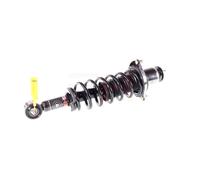 2X GH AMMORTIZZATORE POSTERIORE DESTRO SINISTRO Per TOYOTA COROLLA ZZE12_ NDE12_