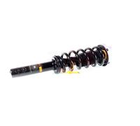 Coppia Ammortizzatori Completa MacPherson Anteriori per BMW X6 (E71, E72) 2008-
