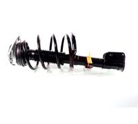 Coppia Ammortizzatori Completa MacPherson Anteriori per Fiat Multipla 1.6,1.9JTD