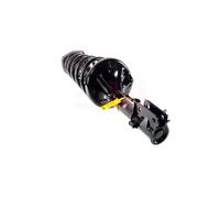 Coppia Ammortizzatori Completa MacPherson Posteriori per Kia Sportage 2004-2010