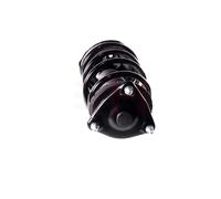 2x Ammortizzatore AGHGH-353520C03 GH