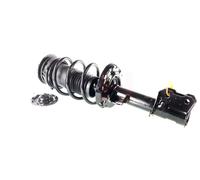 GH GH-353610C11 Ammortizzatore a molla