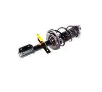 2x Ammortizzatore AGHGH-353983C01 GH