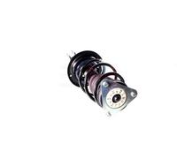 Coppia di Ammortizzatori Completi MacPherson a Gas Anteriore GH-353983C02