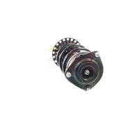 Coppia Ammortizzatori Completa MacPherson Anteriori per CLIO 3 1.4 16V, 1.6 16V