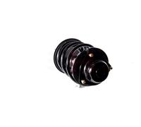 2x Ammortizzatore AGHGH-359320C01 GH