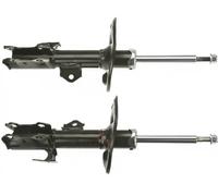 TRW JGM1011T Ammortizzatore