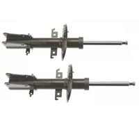 TRW JGM1060T Ammortizzatore