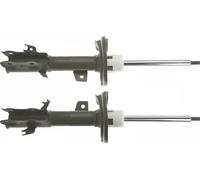 TRW JGM1091T Ammortizzatore
