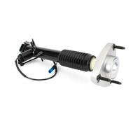 2x Ammortizzatore Assale posteriore Dx Spina superiore SK-3816 Arnott per BMW X5
