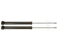 TRW Ammortizzatore JGT481T Posteriore 2x A pressione del gas Occhiello inferiore per VW Polo (9N/9N4)