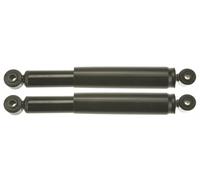 TRW Ammortizzatore JGT1056T Posteriore a gas per VW - 2 pezzi