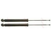 2x Ammortizzatore Assale posteriore Spina superiore JGT555T TRW per RENAULT
