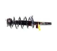 Gema Herrerías Coppia Ammortizzatori Completa Anteriori per Transit Connect 2002 1.8DI Lungo