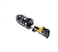 2x Ammortizzatore GH-354195C02 GH GH