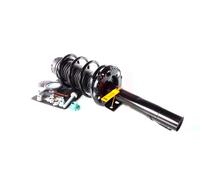 Coppia Ammortizzatori Completa MacPherson Anteriori per Skoda Roomster 1.2, 1.4